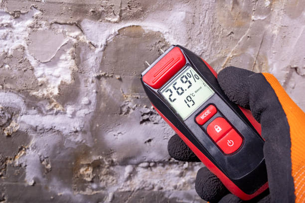 Best Mold Testing and Inspection Services in Maybrook, NY