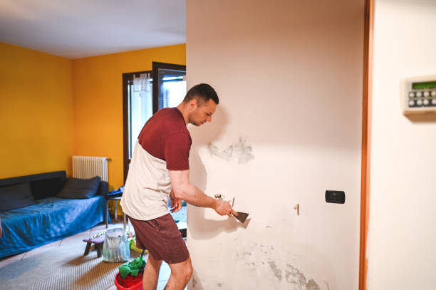 Best Basement Mold Remediation in Maybrook, NY